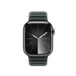 萬年青色磁性鏈紋錶帶的正面，展示 Apple Watch 錶面與數位錶冠。