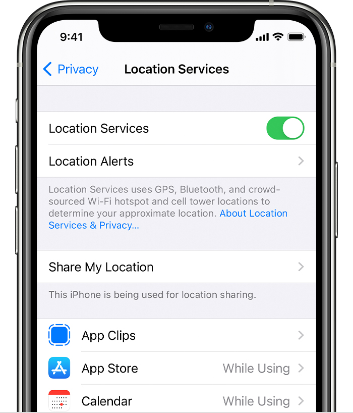 iPhone showing options in Location Services, including options for Location Alerts and app-specific settings