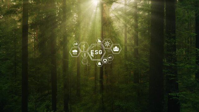 Magical sun rays through tree crowns with animated esg icons. Concept Environment, Social and Governance.
