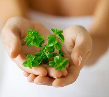 The Super Herb That Destroys Candida - Oregano