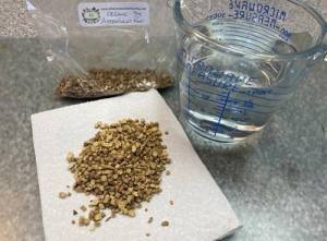 Astragalus Decoction - Ingredients