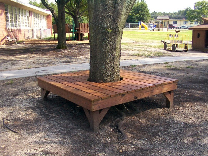 Tree Seat