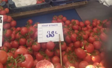 Pomidor niyə ucuzlaşmır, səbəb nədir və nə etməli?