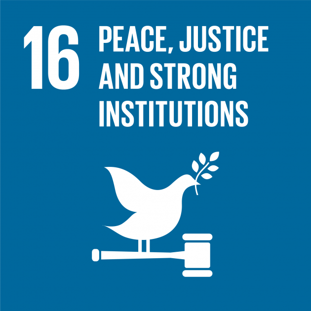 goal 16: Peace, justice and strong institutions