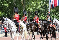 At Trooping the Colour with Prince Andrew, Duke of York and Anne, Princess Royal (9 June 2018)
