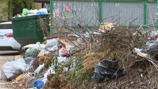 На мусорном полигоне в Борисоглебске нашли 46 нарушений