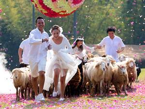 13 February 2015: Couples (L-R) Chaiyut Phuangphoeksuk and Prontathourn Pronnapatthun, and Nichapatr Koomsombut and Pirat Rungthongoran run from sheep during their wedding ceremony at a resort in Ratchaburi province. Three Thai couples took part in the wedding ceremony arranged by a resort themed around fun activities ahead of Valentine's Day