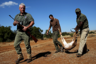 Stan Burger (L) walks while holding a hunting rifle as Francois Cloete (C) is helped by Lucky to carry an Impala that was shot by Francois during their hunting trip at the Iwamanzi Game Reserve in the North West Province, June 6, 2015. Africa's big game hunting industry helps protect endangered species, according to its advocates. Opponents say it threatens wildlife. Now a mooted change in regulations in the United States could affect the number of foreigners who come to Africa to hunt big game, damaging the industry and possibly hurting wildlife. Picture taken June 6, 2015. REUTERS/Siphiwe Sibeko