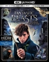 Fantastic Beasts and Where to Find Them 4K (Blu-ray)