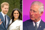 Prince Harry meghan markle prince charles royal news 