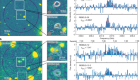 Normal, dust-obscured galaxies in the epoch of reionization