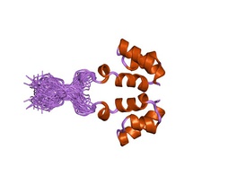 Структура N-концевого цинк-связывающего домена интегразы вируса hiv-1