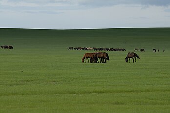 Монгольское плато