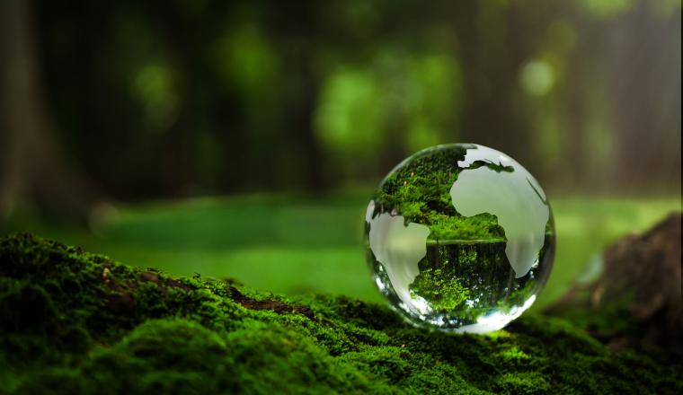 A globe sitting on top of moss in a forest.