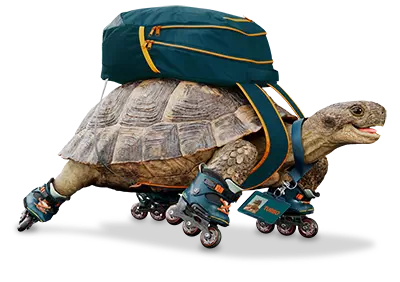 Feel good travel turbo the turtle