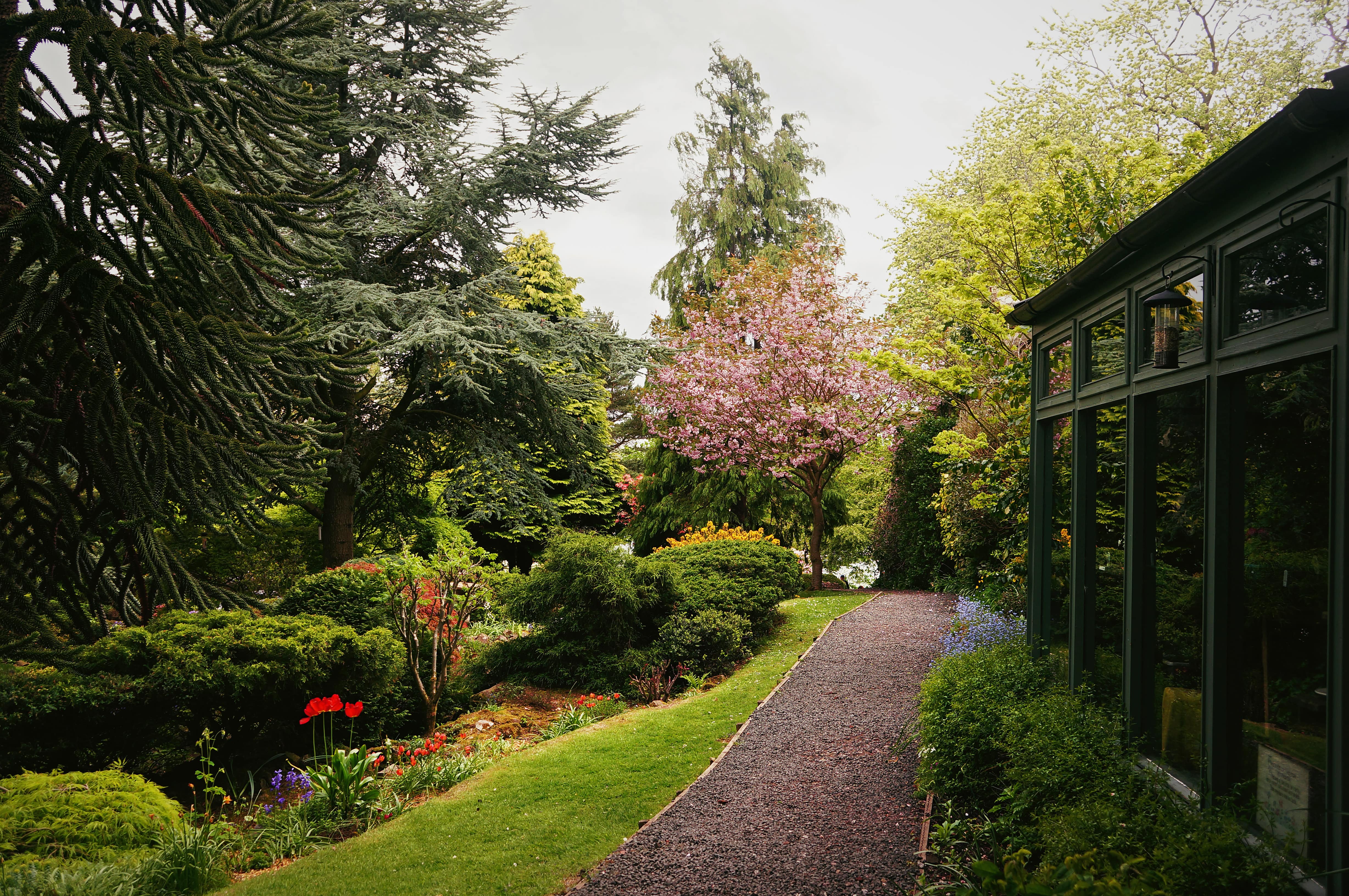 A lush green garden space, Dr Neil’s Garden in Edinburgh