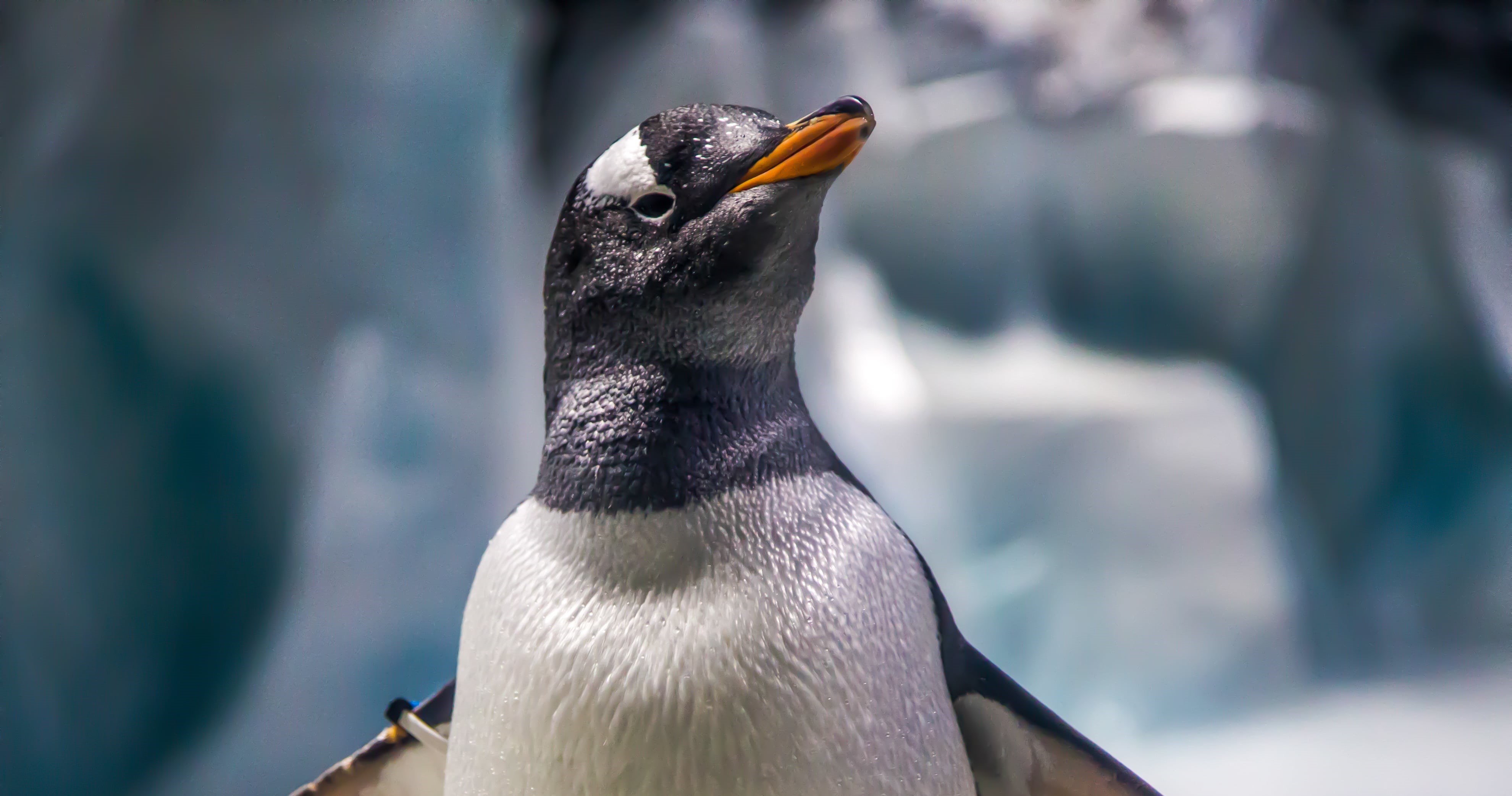 Birmingham Sea Life Centre