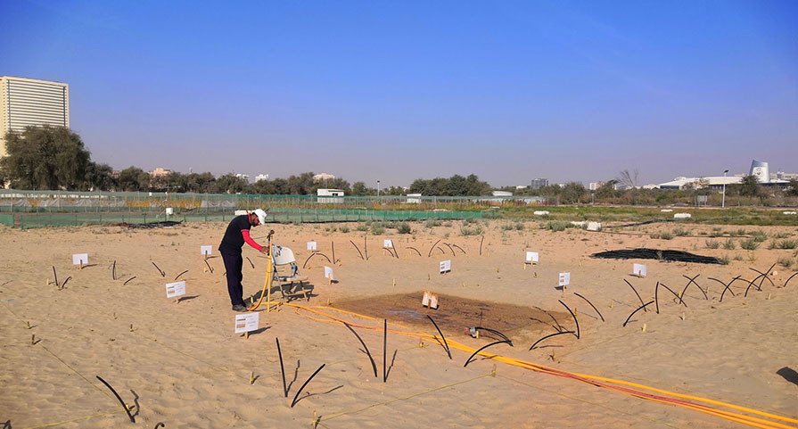 A man doing some readings in the middle of a sandy field
