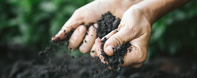 How to bring life to dying soils