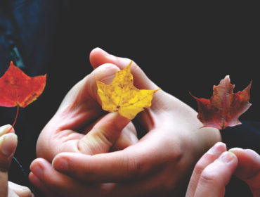 Holding leaves together