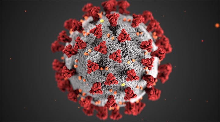microscopic image of COVID-19 virus