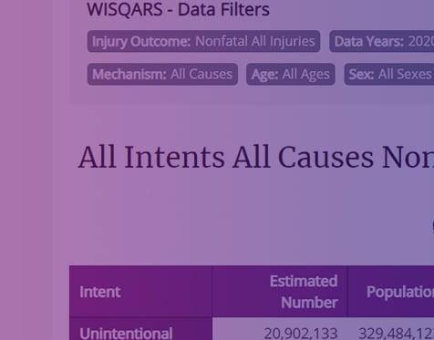 WISQARS Nonfatal Injury Reports