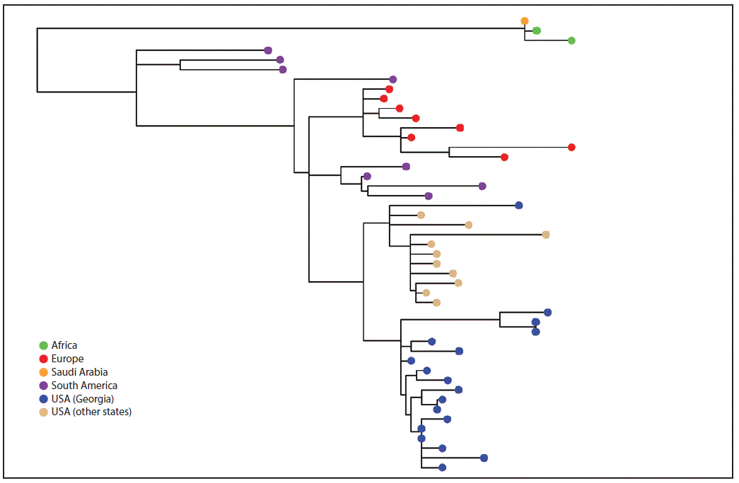 The figure above is phylogenetic tree showing the whole genome maximum likelihood phylogeny of N. meningitidis serogroup W clonal complex 11 isolates from Georgia, other U.S. states, Europe, Africa, and South America during 2006–2016.