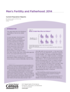 Men's Fertility and Fatherhood: 2014