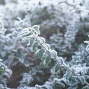 The Met Office warned there was a also a chance of snow in places across the UK