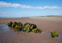 Aberlady Bay was named one of the best 'secret' beaches in the UK