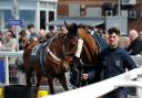 IN PICTURES: Coral Scottish Grand National Festival brings big crowds to Ayr