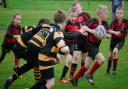 P5's Adam on the attack