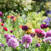 Attadale Gardens in the Scottish Highlands was named one of the best to visit in early spring.