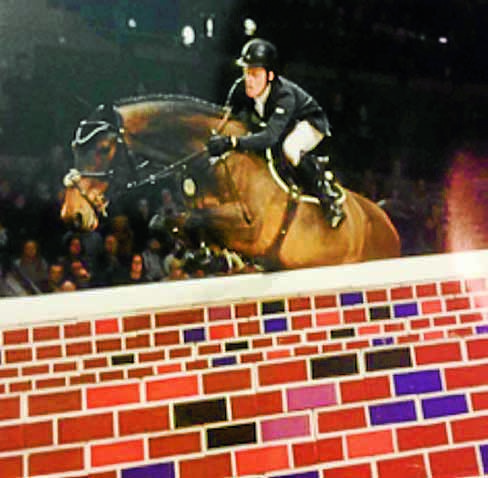 Showjumper suspended amid welfare concerns