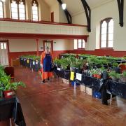 Eve Dickinson, president of Musselburgh Horticultural Society, at last year's plant sale which sold out in under one hour