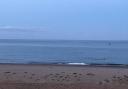 The beach and sea at Exmouth