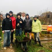 Henry, Max, Rowan, and Jude helped build the allotment as part of their Duke of Edinburgh Award.