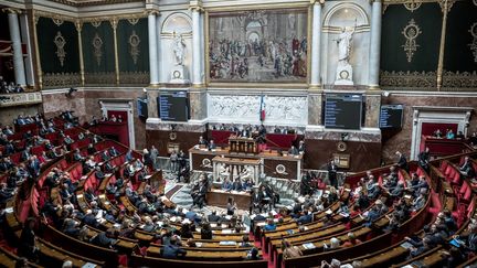 L'Assemblée nationale le 8 novembre 2022. (ARTHUR NICHOLAS ORCHARD / HANS LUCAS / AFP)