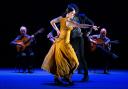 Paco Peña’s Flamenco runs 4 nights