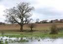 Land between Hereford and the Lugg Meadows could be turned into housing