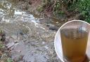 The polluted Holywell Dingle, and a sample of its water