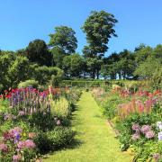 Hergest Croft Gardens has been shortlisted for a coveted national award