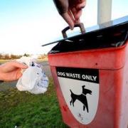 Stock image of a dog poo bin.