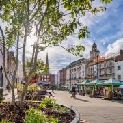 The planters in Hereford High Town