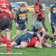 Jake Cheshire goes over for a try during Hereford RFC’s 20-26 victory at Worcester