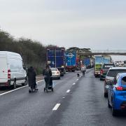 STRETCHING THEIR LEGS: People walked dogs and pushed children in pushchairs on the stationary M50