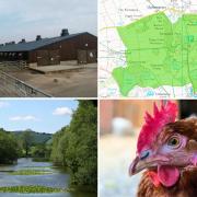 The current Park Top Farm, its location within the listed Shobdon Park, and a pool within the park