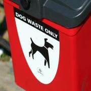 dog waste bin