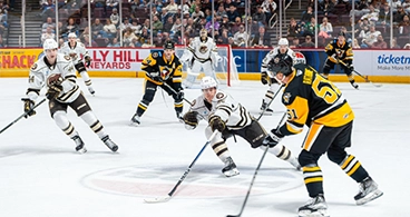 Hershey Bears playing on the hockey rink