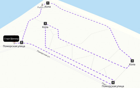 Первый Чемпионат Мурманской области по северной ходьбе пройдет в Коле